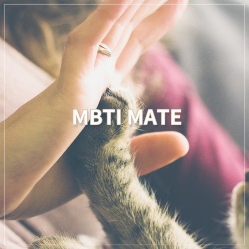 MBTI 메이트 (MM)